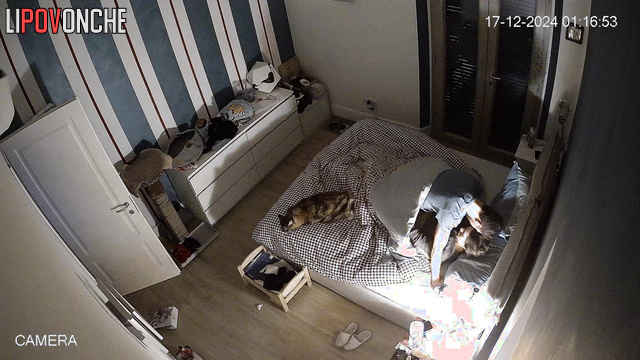 Cozy sex between girlfriend and boyfriend / home video