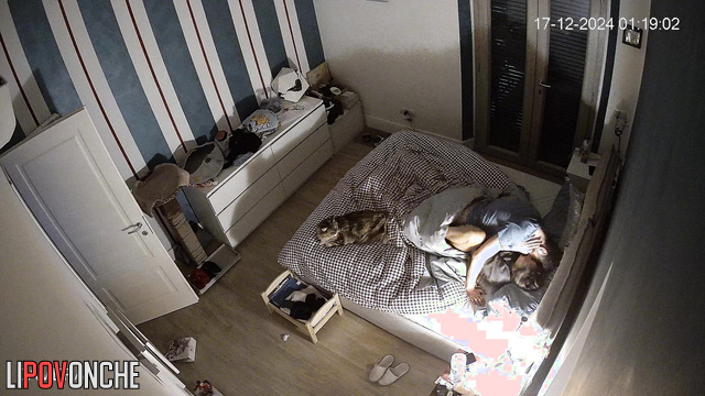 Cozy sex between girlfriend and boyfriend / home video