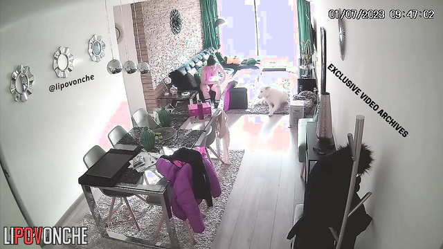  Spy Hidden Cam