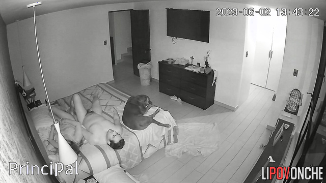 They wouldn't like it if someone was watching them with hidden camera
