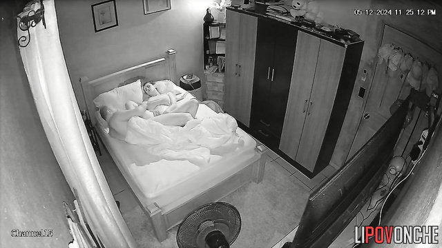  Spy Hidden Cam
