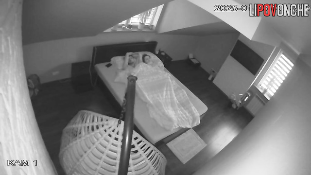  Spy Hidden Cam