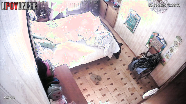  Spy Hidden Cam