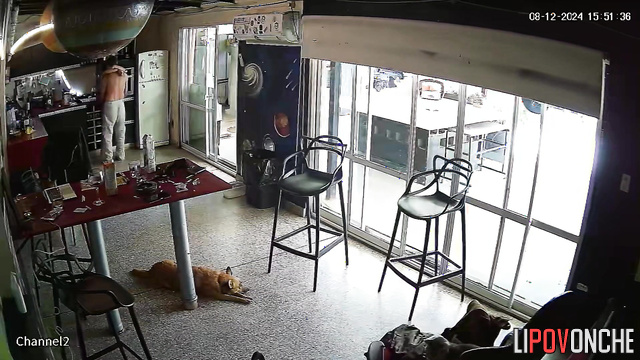 Lovers fucked hot before the cafe opened, public video