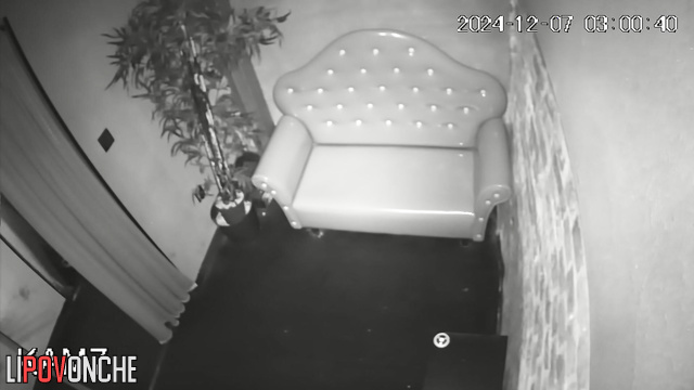 Couple imitated sexual movements in the striptease club