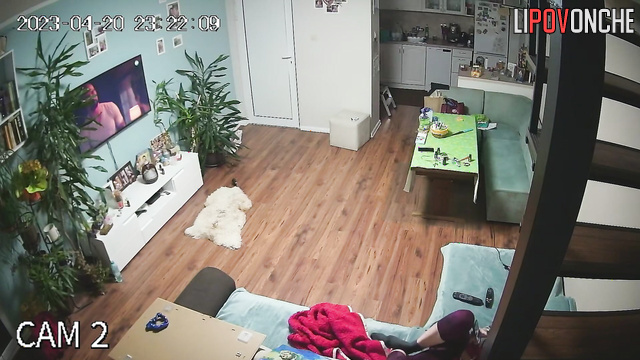 Woman chills all day long in her flat and just watches TV