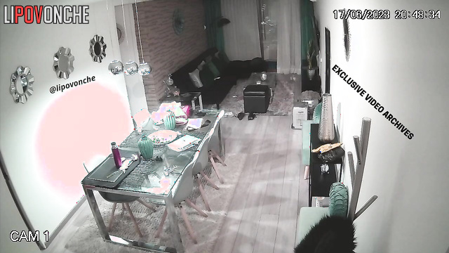  Spy Hidden Cam