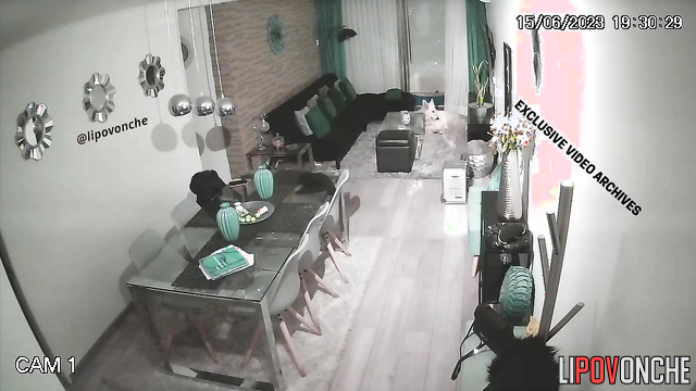  Spy Hidden Cam