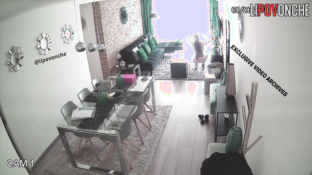 Boyfriend and girlfriend are going to fuck in the living room