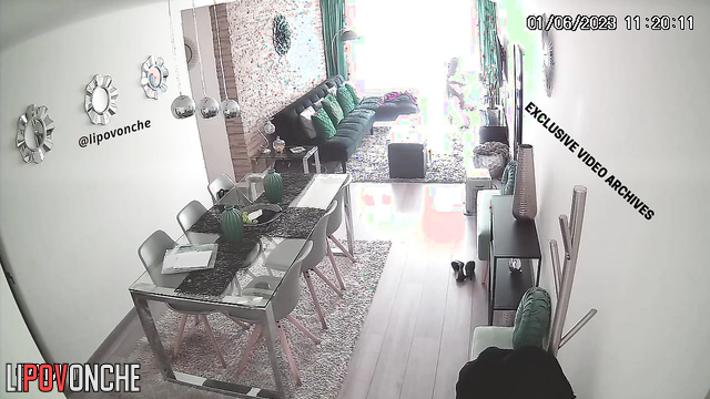 Boyfriend and girlfriend are going to fuck in the living room
