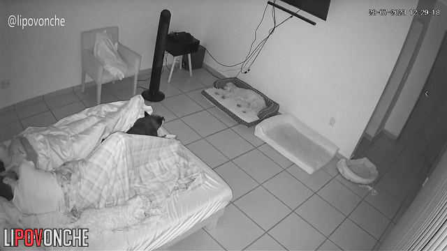  Spy Hidden Cam