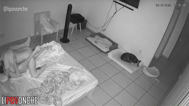  Spy Hidden Cam