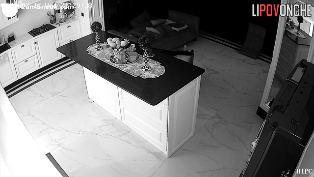 Spy Hidden Cam
