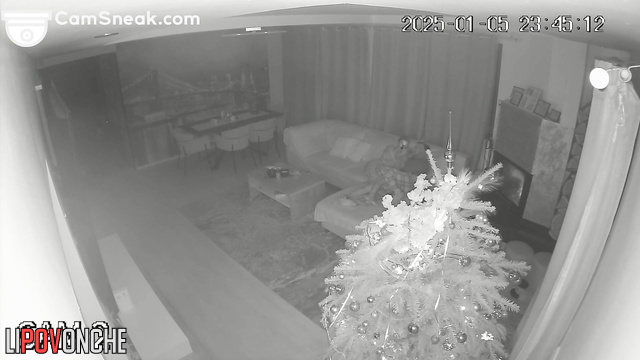  Spy Hidden Cam