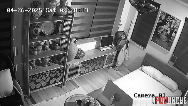  Spy Hidden Cam