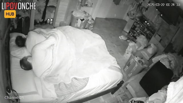  Spy Hidden Cam