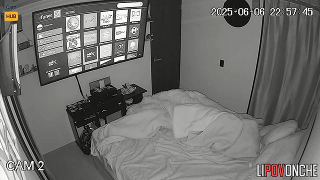  Spy Hidden Cam