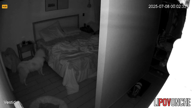  Spy Hidden Cam