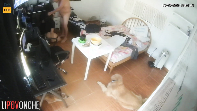 Young prostitute sucking old fart's dick right now
