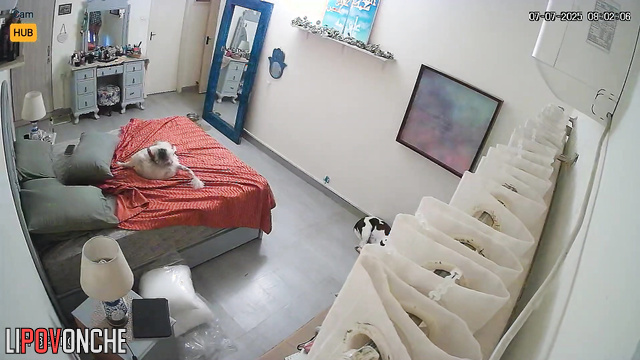  Spy Hidden Cam