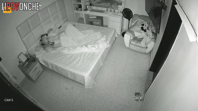  Spy Hidden Cam