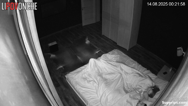The hidden device remained unnoticed in the corner of the room.