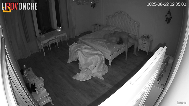 Couple didn't notice the small cam watching their hot fuck from the corner