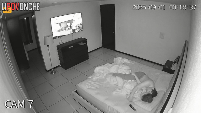  Spy Hidden Cam
