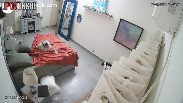  Spy Hidden Cam