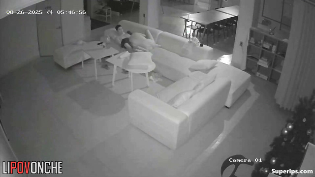Passionate 69 sex in the living room (between asians)