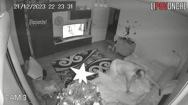 Naked man watching porn and wants to fuck his partner