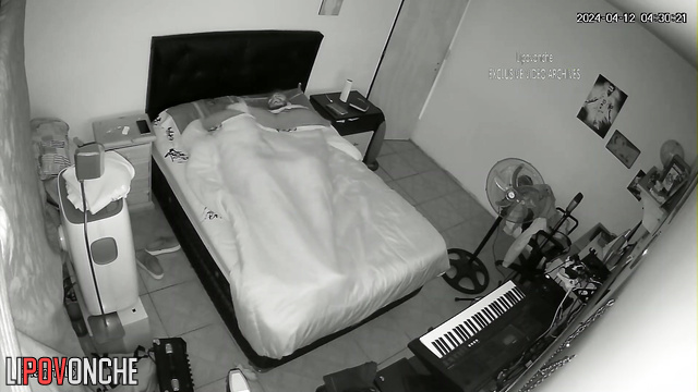 Strangers having sex at night after a cool and hot date
