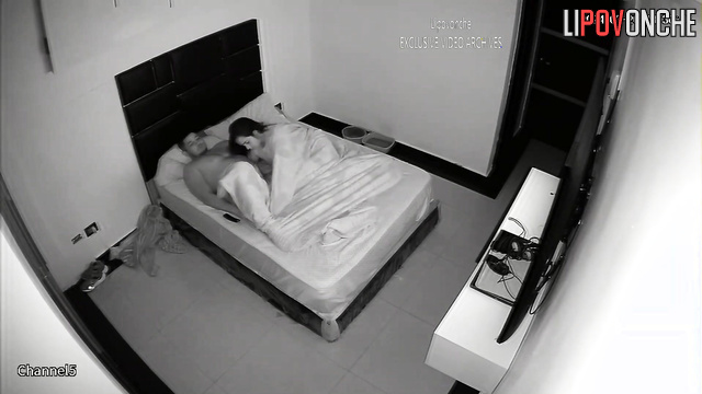 Long-haired lady getting cunnilingus before hot sex