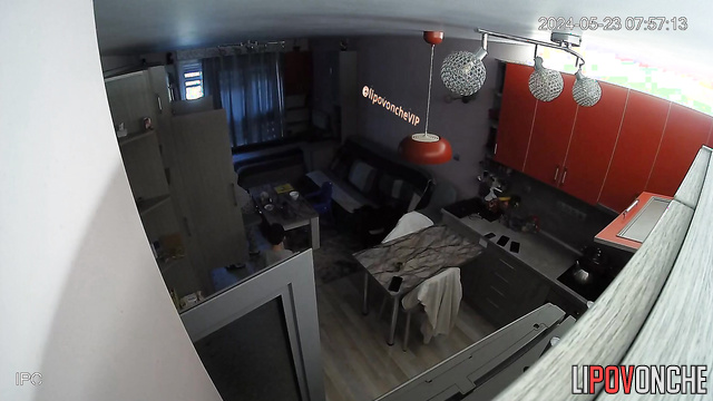 Somebody installed camera in their big living room