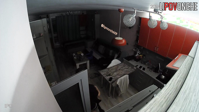 Somebody installed camera in their big living room