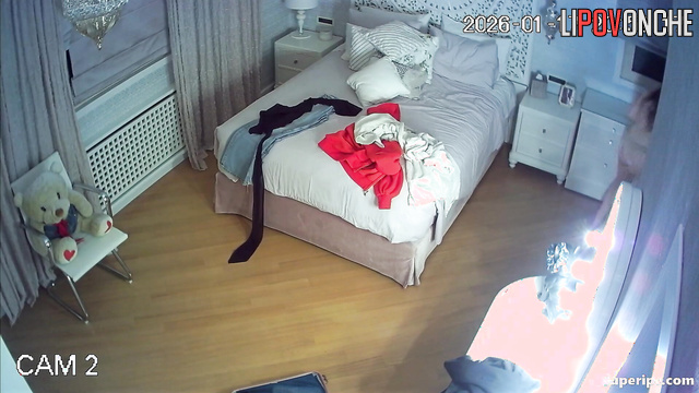  Spy Hidden Cam