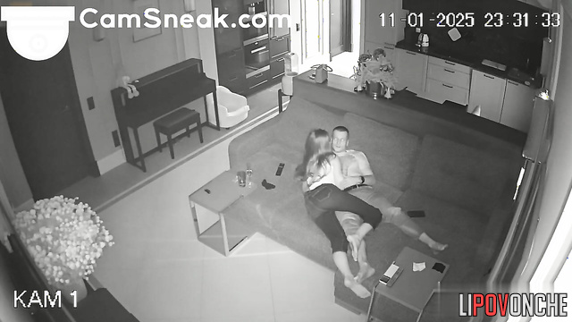  Spy Hidden Cam