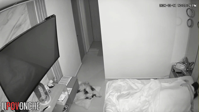  Spy Hidden Cam