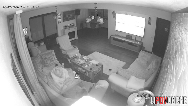 An elderly couple had a real sex marathon on the living room couch