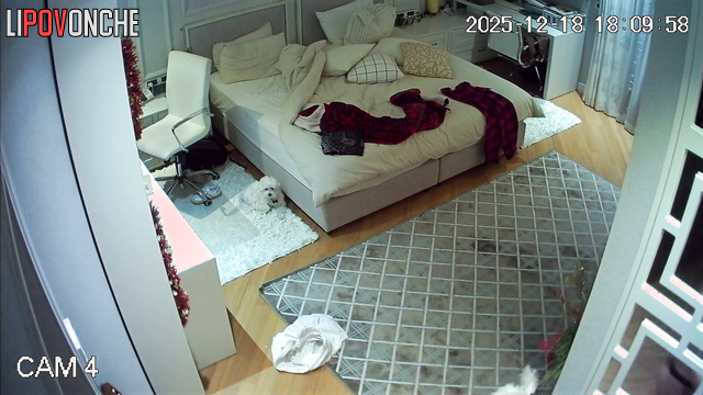  Spy Hidden Cam