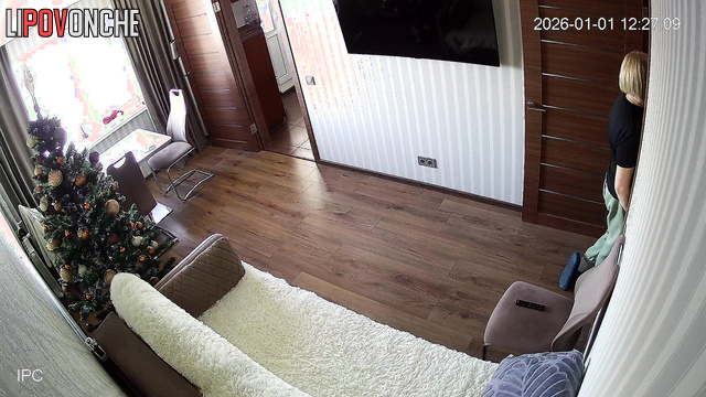 Fast blowjob on the sofa (spouses having Christmas fun)