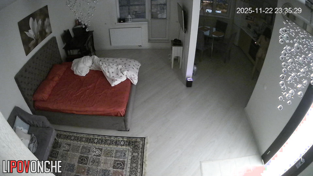  Spy Hidden Cam