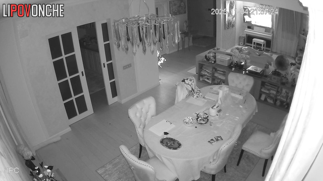  Spy Hidden Cam