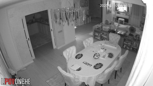  Spy Hidden Cam