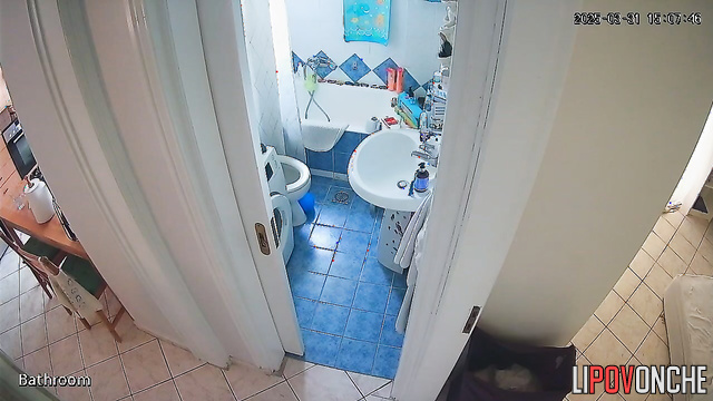 A brunette with a sexy butt is cleaning the toilet without panties