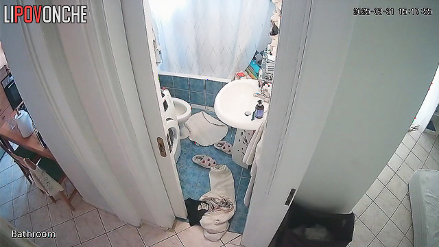 A brunette with a sexy butt is cleaning the toilet without panties