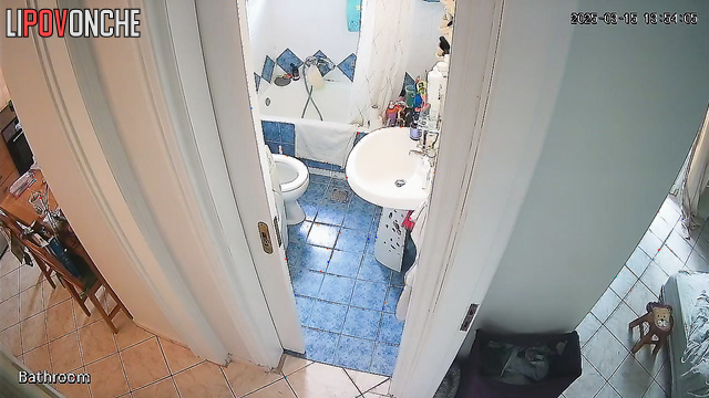 A housewife is talking on the phone while sitting on the toilet with naked ass