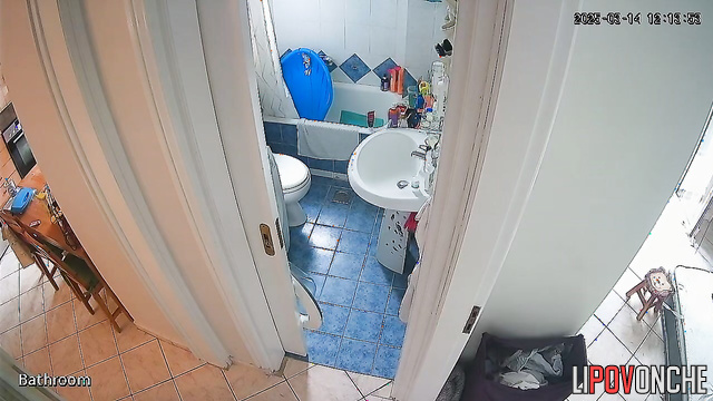 After cleaning the apartment, the cute brunette bares her sexy ass in the restroom