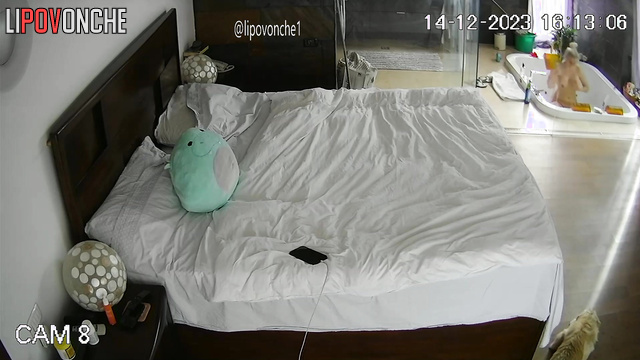  Spy Hidden Cam
