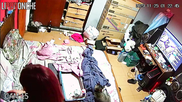 Couple fucking and watching porn at the same time